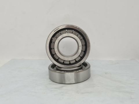 Фото1 Cylindrical roller bearing 102307