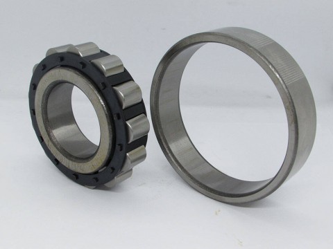 Фото1 Cylindrical roller bearing N 310