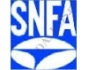 SNFA, photo112