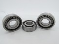 Фото4 Cylindrical roller bearing 102204 N204W