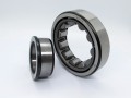 Фото4 Cylindrical roller bearing CX NJ310 E