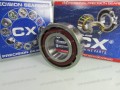 Фото4 Angular contact ball bearing CX 7205B