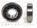 Фото1 Cylindrical roller bearing FBJ NJ305
