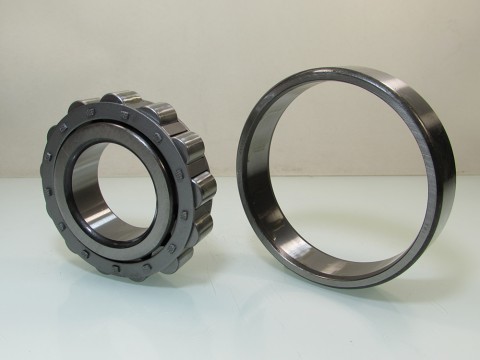 Фото1 Cylindrical roller bearing FBJ N310