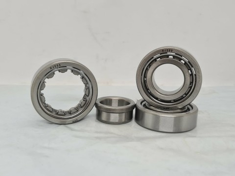 Фото1 Cylindrical roller bearing NJ205