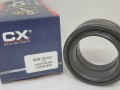 Фото4 Шарнірний GE060-ES2RS CX